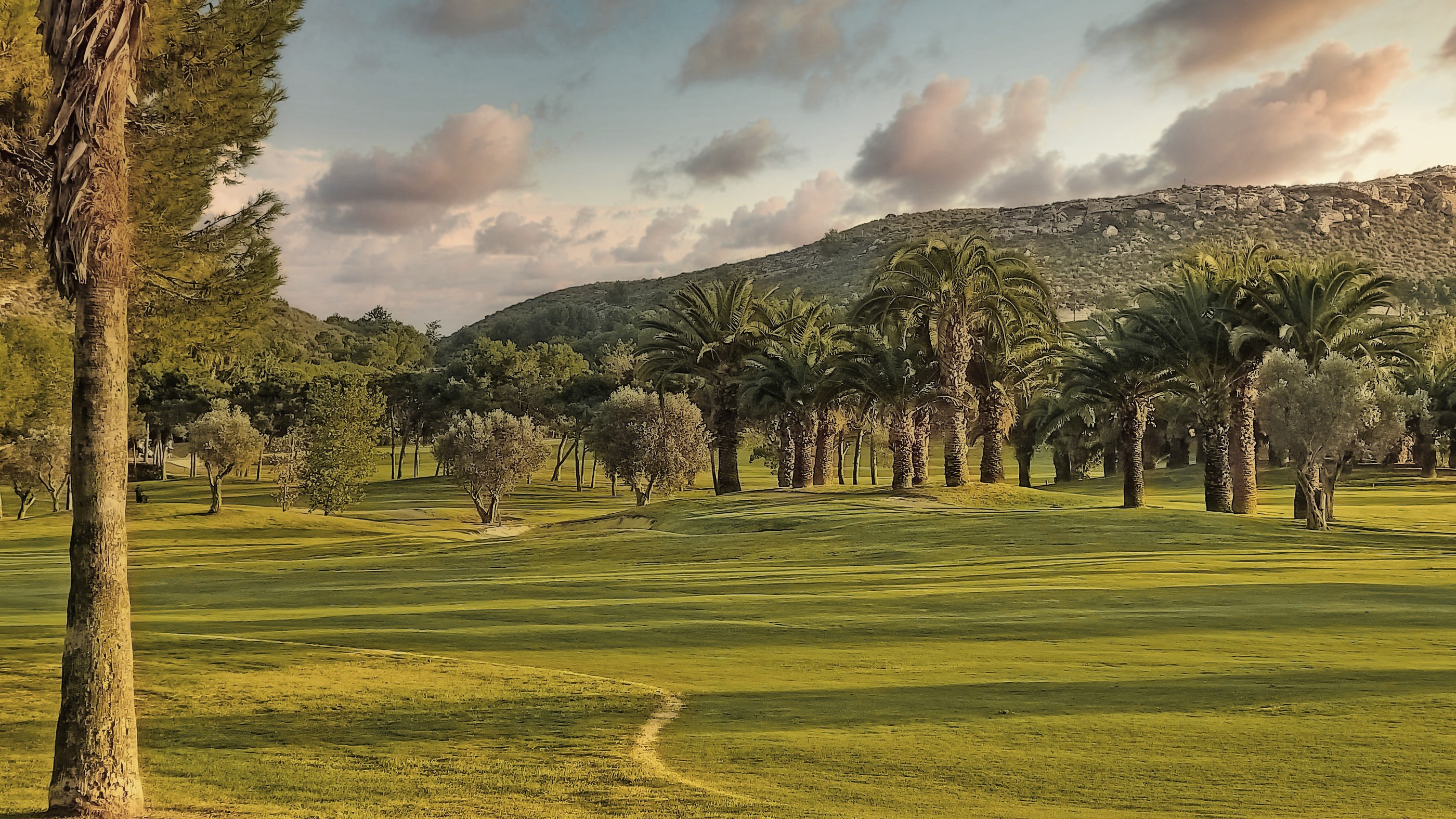 El Plantío Golf - Fairway kantad av palmer