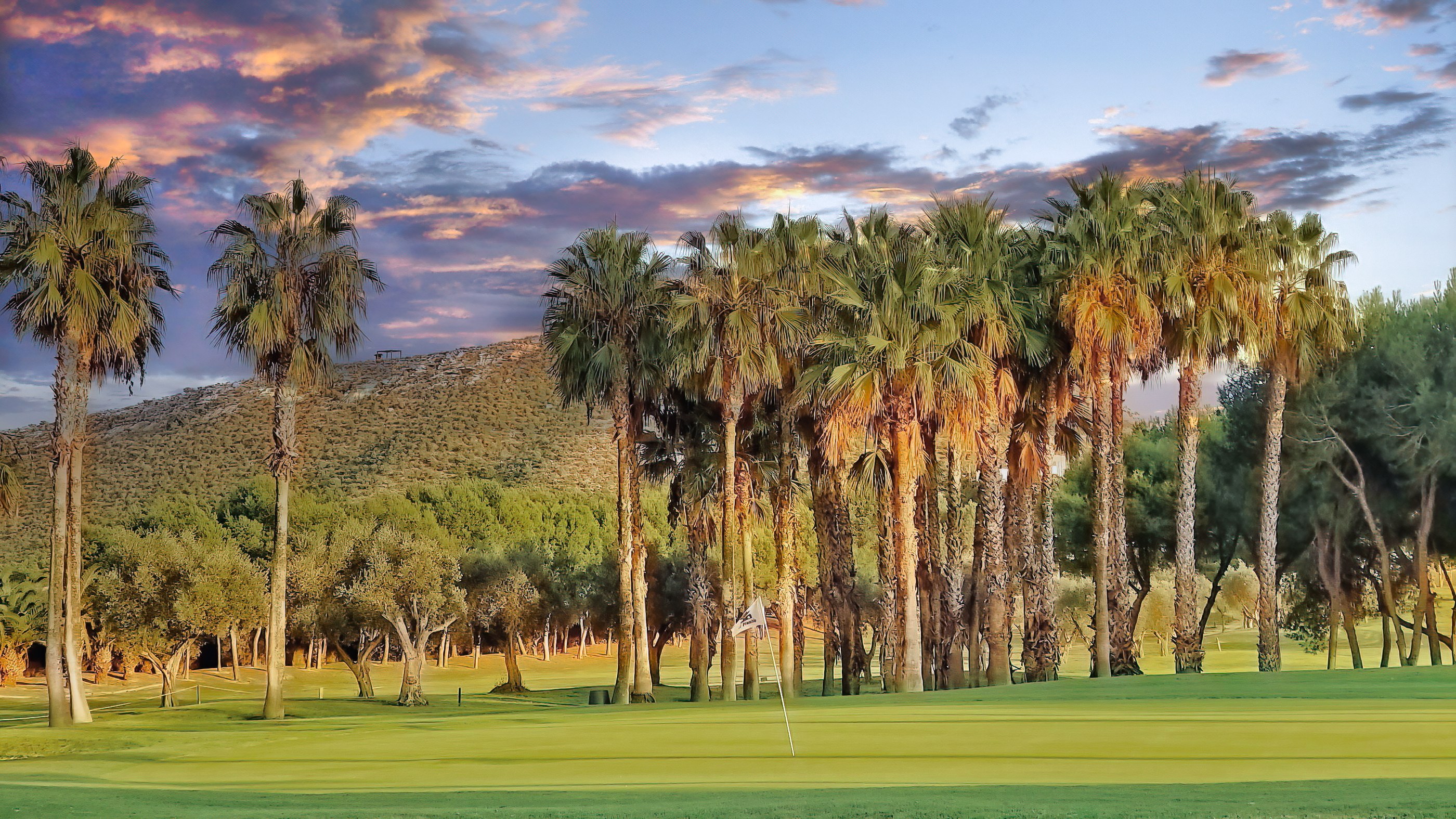 El Plantío Golf - Green omgiven av palmer