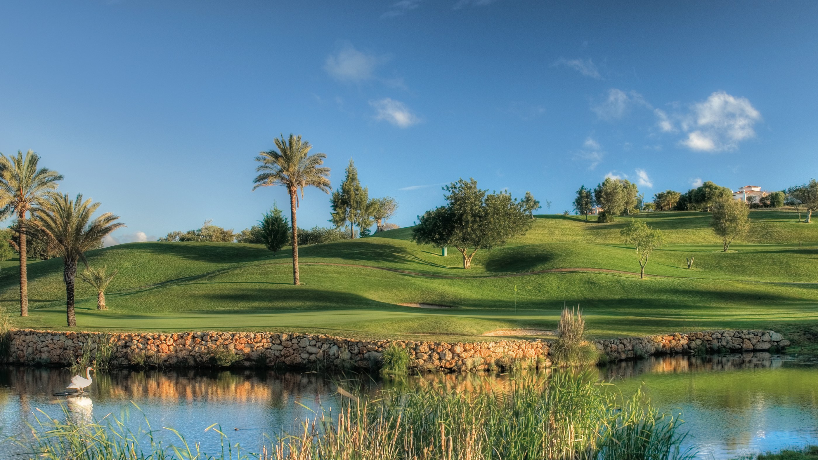 Gramacho Golf - 10ans green