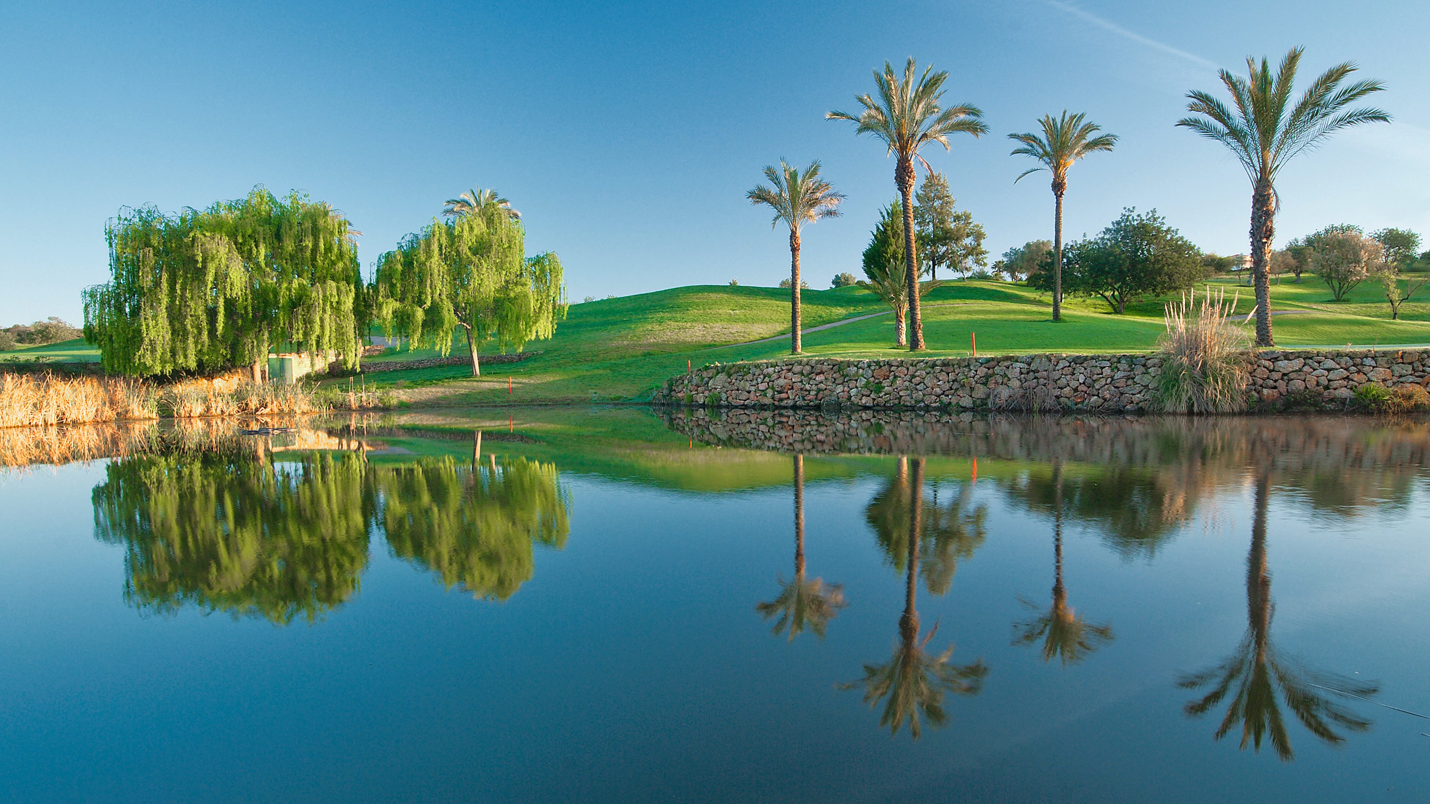 Gramacho Golf - Palmer speglas i dammen