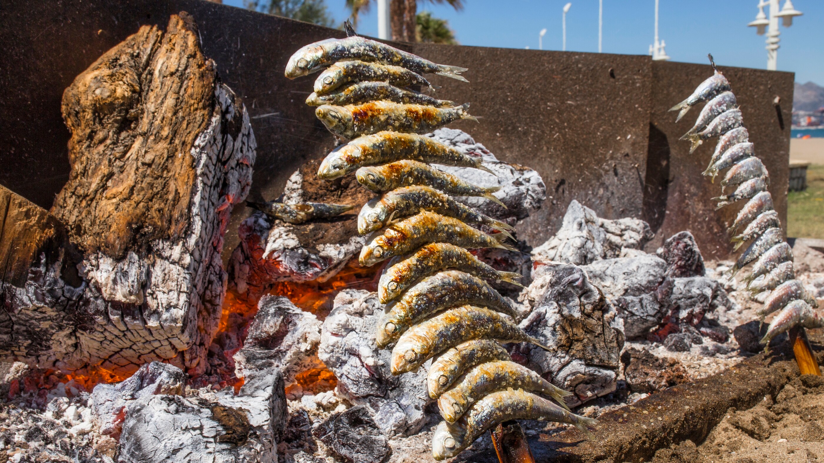 Grillade sardiner - Costa del Sol