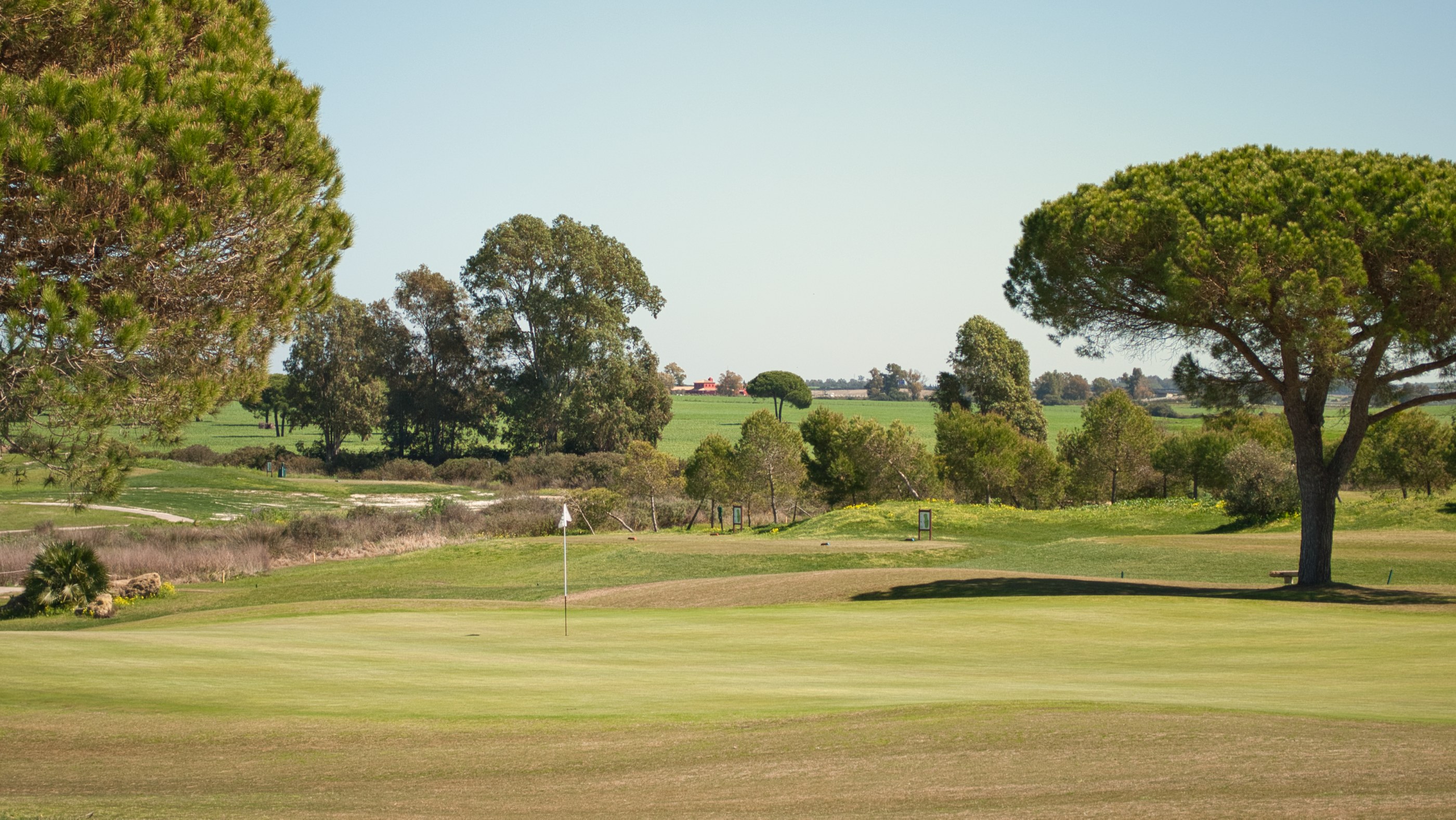 La Estancía Golf - Green omgiven av pinjeträd