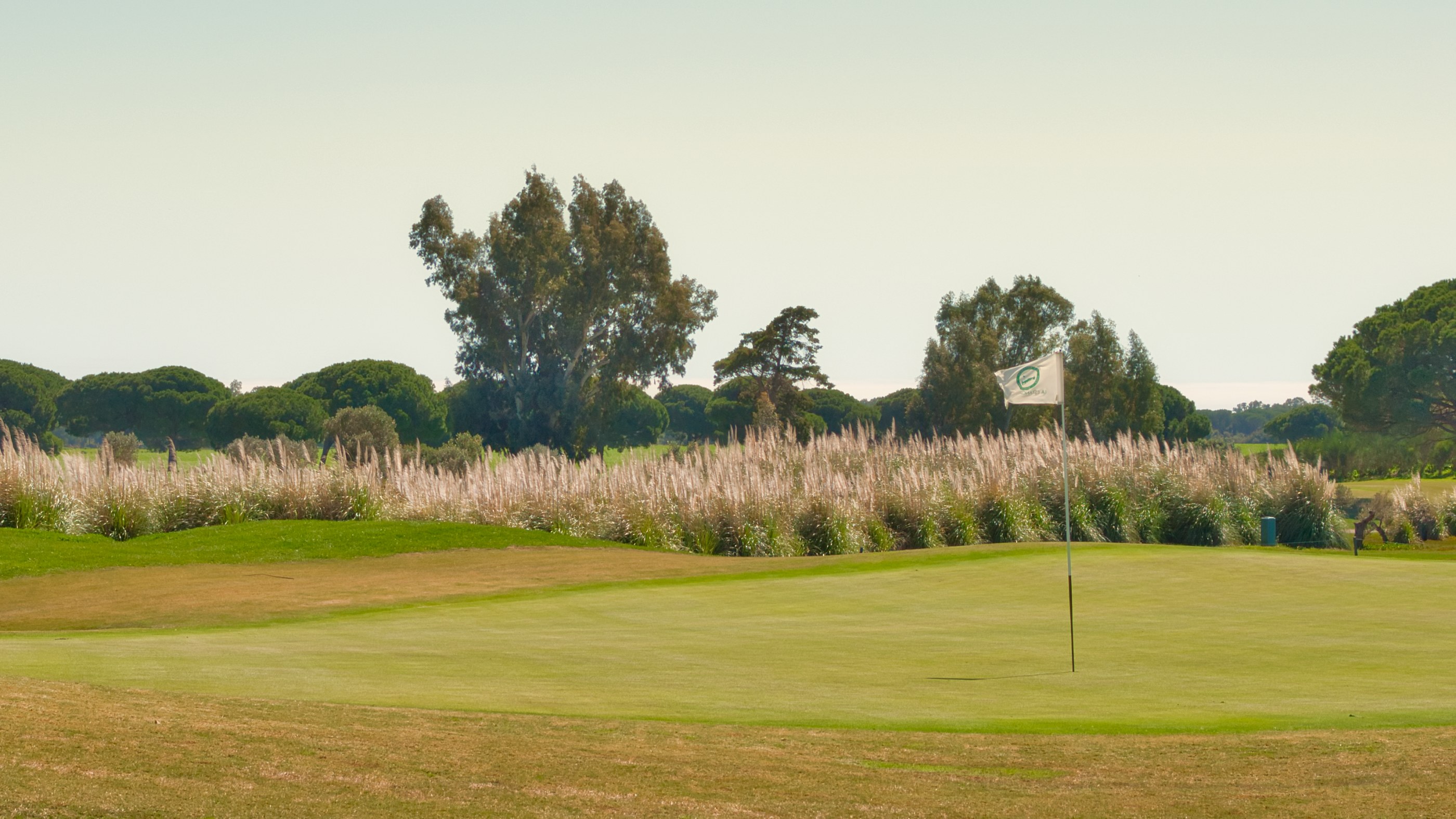 La Estancía Golf - Green med skogen i bakgrunden