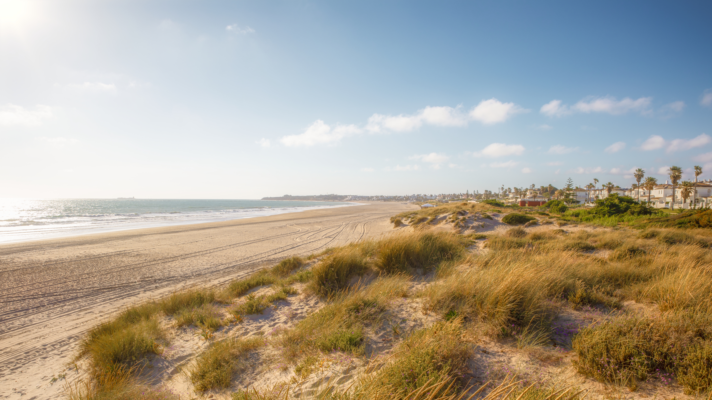 Playa La Barrosa i Novo Sancti Petri, Chiclana de la Frontera