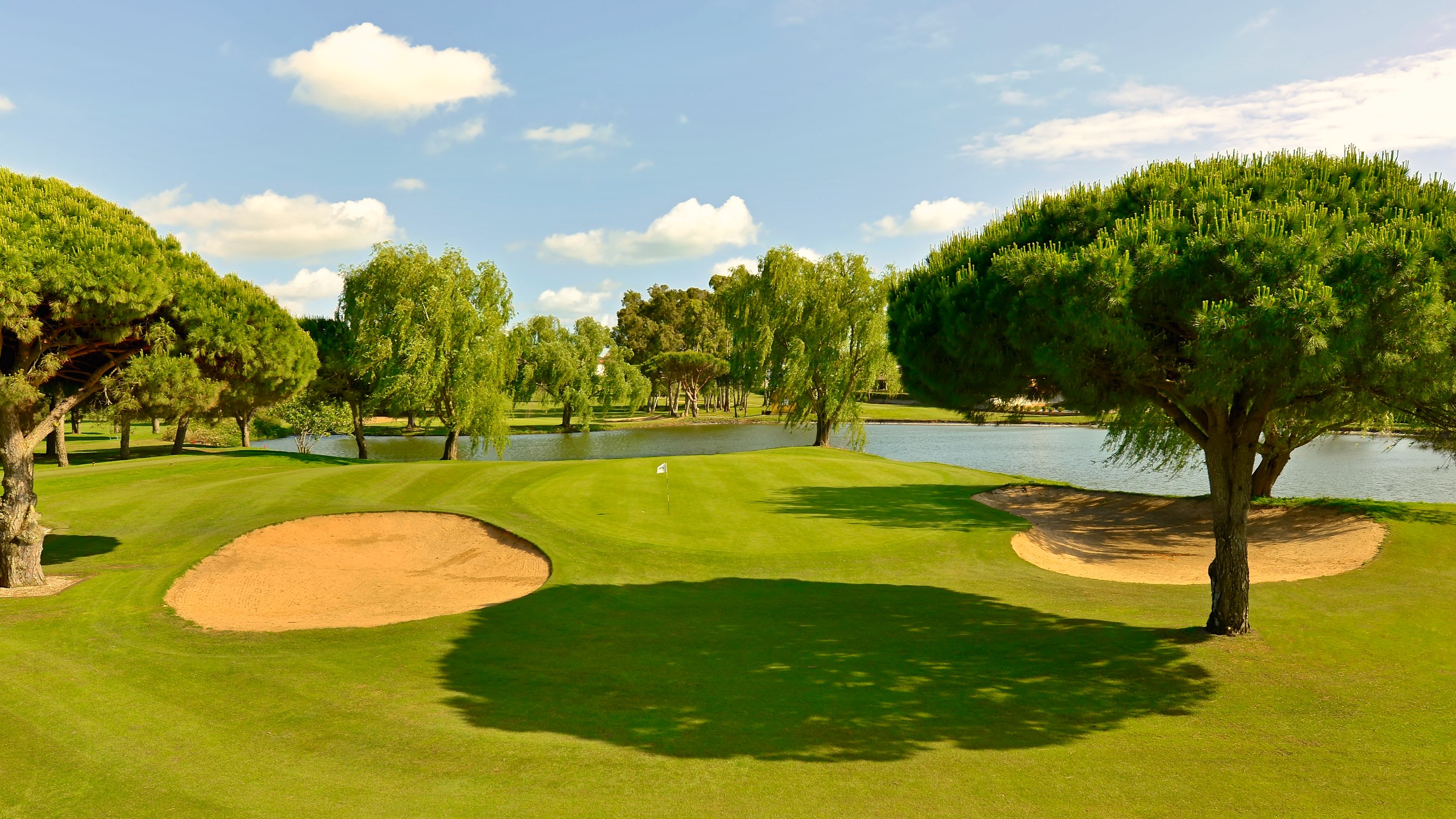 RCG Novo Sancti Petri Golf - Greenbunkrar och pinjeträd