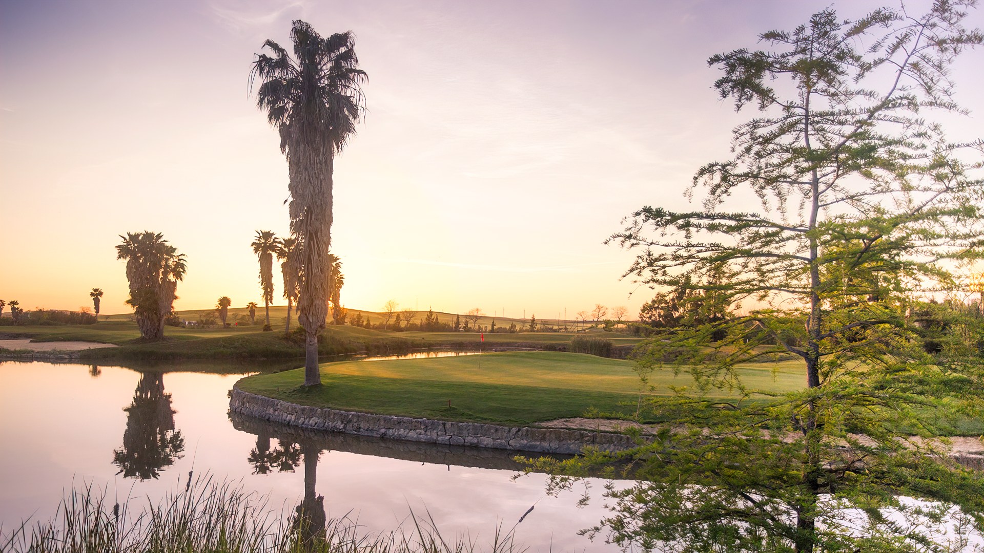 Green 14 - Sherry Golf Jerez