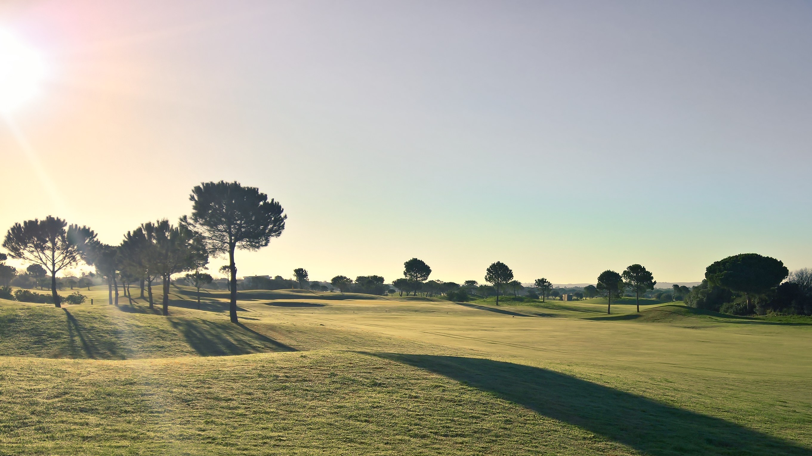 Fairway pinos - Villanueva Golf